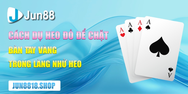 cach du heo do de chat – ban tay vang trong lang nhu heo