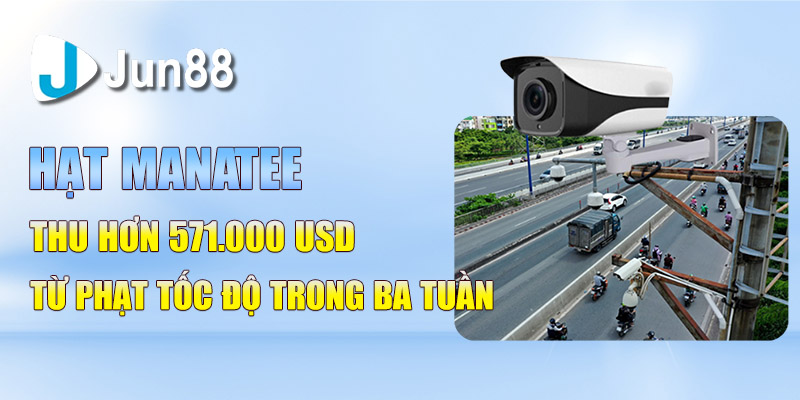 hat manatee thu hon 571 000 usd tu phat toc do trong ba tuan