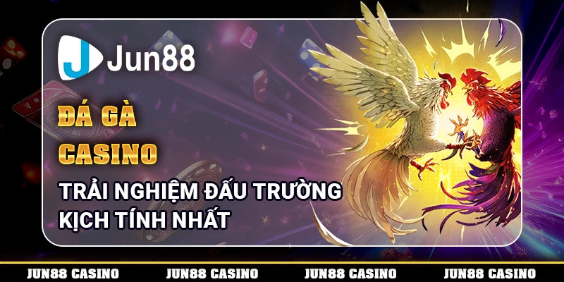 Đá gà casino – Trải nghiệm đấu trường kịch tính nhất