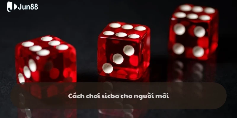 Cách Chơi Sicbo Xúc Xắc Đỉnh Cao – Bí Quyết Thắng Tại Jun88 4 cach-choi-sicbo-xuc-xac-trinh-tu