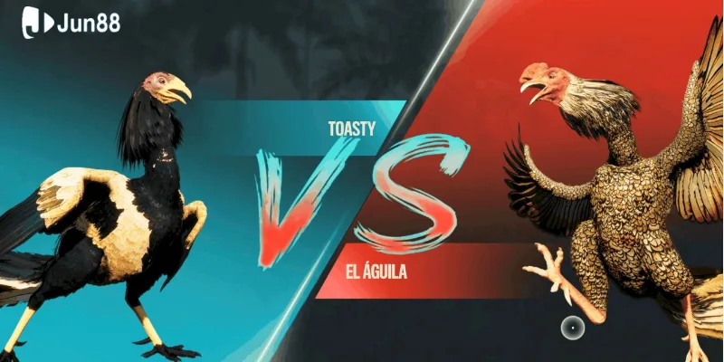 Đá gà casino – Trải nghiệm đấu trường kịch tính nhất 2 Đá gà casino Jun88