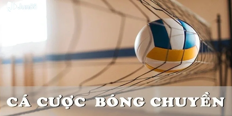 Kinh Nghiệm Cược Bóng Chuyền – Bí Quyết Thắng Lớn Tại Jun88 2 ca-cuoc-bong-chuyen-mang-den-nhung-phut-giay-cang-thang