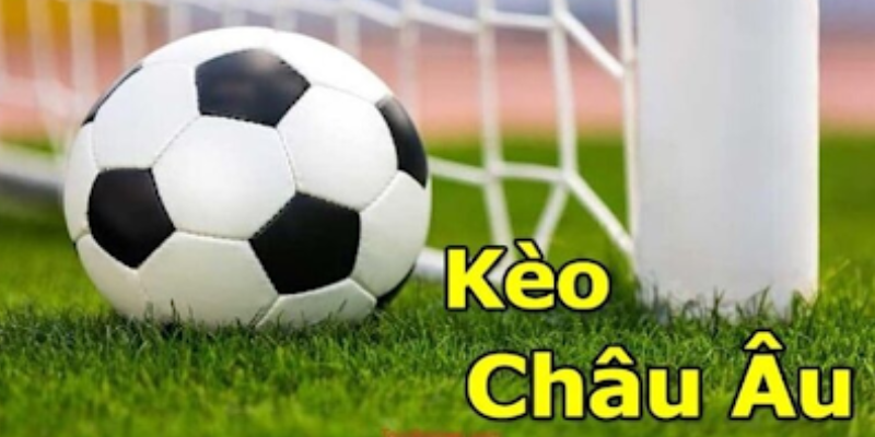 Tỷ Lệ Cá Cược Châu Âu - Hướng Dẫn Cách Đọc Kèo Và Đặt Cược 4 Tỷ lệ cá cược phù hợp