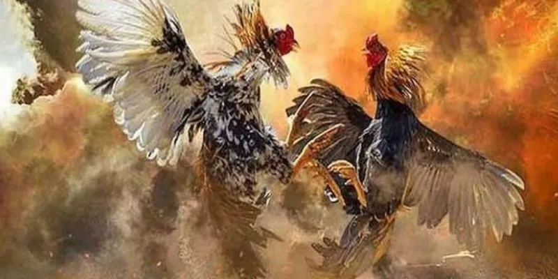 Mẹo chọn chiến kê mạnh hiệu quả từ cao thủ